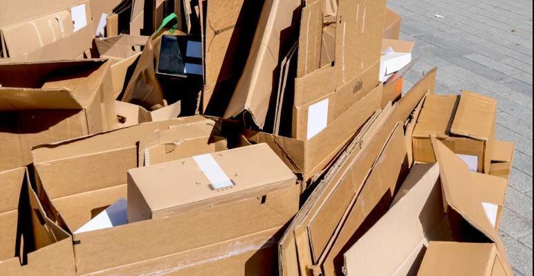 Cardboard.jpg Cardboard.jpg